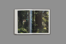 Load image into Gallery viewer, Among Buildings - spread