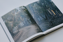 Load image into Gallery viewer, Paul Couch, Field Studies - spread