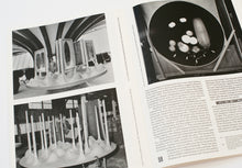 Load image into Gallery viewer, Robin Boyd: Late Works