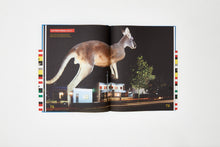 Load image into Gallery viewer, Influence: Edmond and Corrigan + Peter Corrigan interior