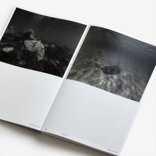 Load image into Gallery viewer, Nicolas Floc'h - Invisible