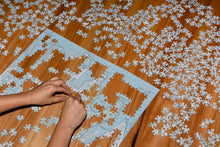 Load image into Gallery viewer, Public Sydney puzzle