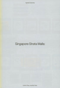 Singapore Strata Malls : A Retrospective for the Future