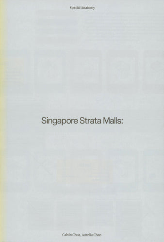 Singapore Strata Malls : A Retrospective for the Future