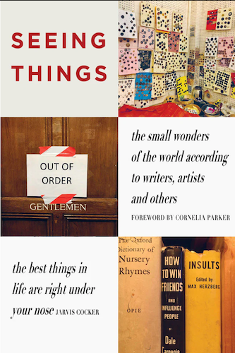 Seeing Things by Julian Rothenstein