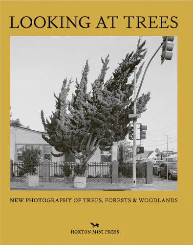 Looking at Trees