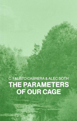 The Parameters of our Cage