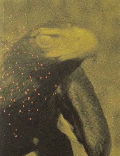 Matt Dunne: The Killing Sink