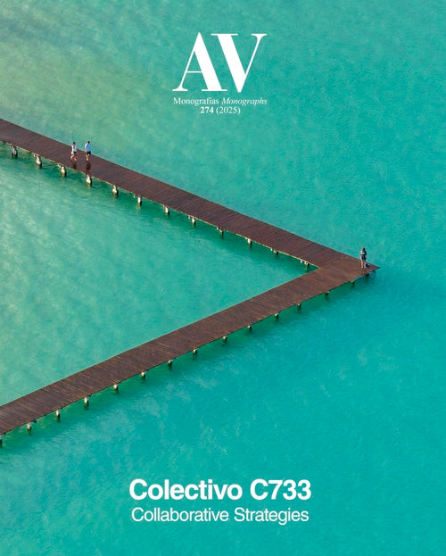 Colectivo C733