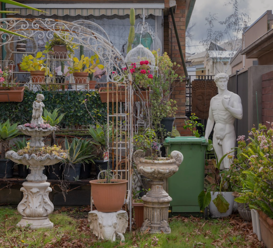 Front Yard: David Wadelton