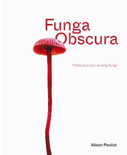 Funga Obscura: Photo Journeys Among Fungi