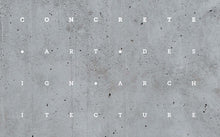 Load image into Gallery viewer, Concrete: Art, Design, Architecture
