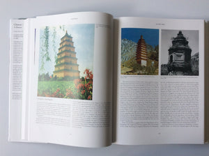 Chinese Architecture: A History