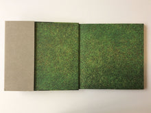 Load image into Gallery viewer, Javier Senosiain: Organic Architecture
