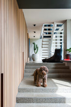 Load image into Gallery viewer, Resident Dog: Incredible Homes and the Dogs That Live There
