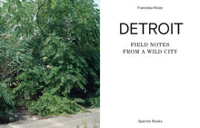 Load image into Gallery viewer, Detroit

